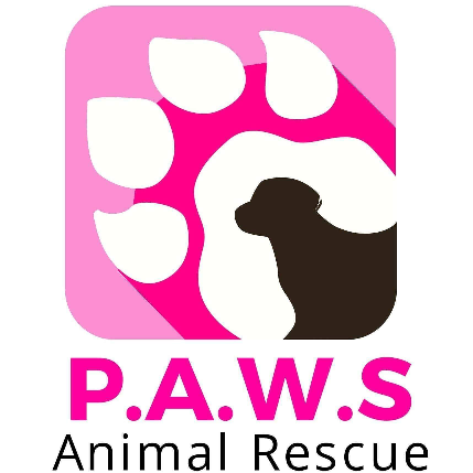 Pets Are Worth Saving Animal Rescue